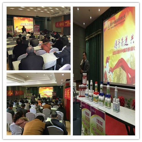 三月中電，繽紛會議——河南長垣